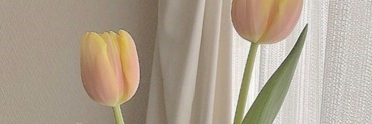 kimmyzyrell's profile banner image
