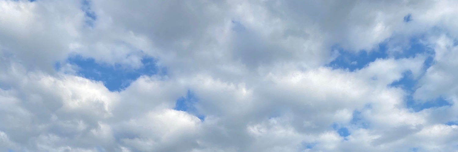 MariisaRusso's profile banner image