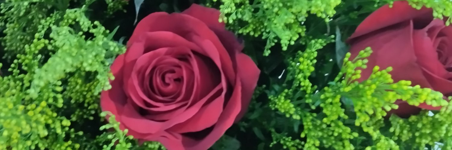 dayanaclp's profile banner image