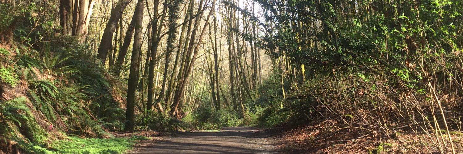 Becca Brazell banner