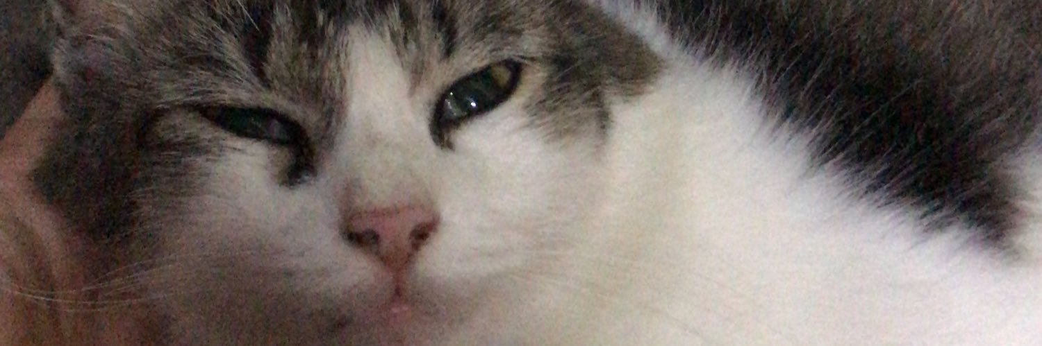 unaezty's profile banner image
