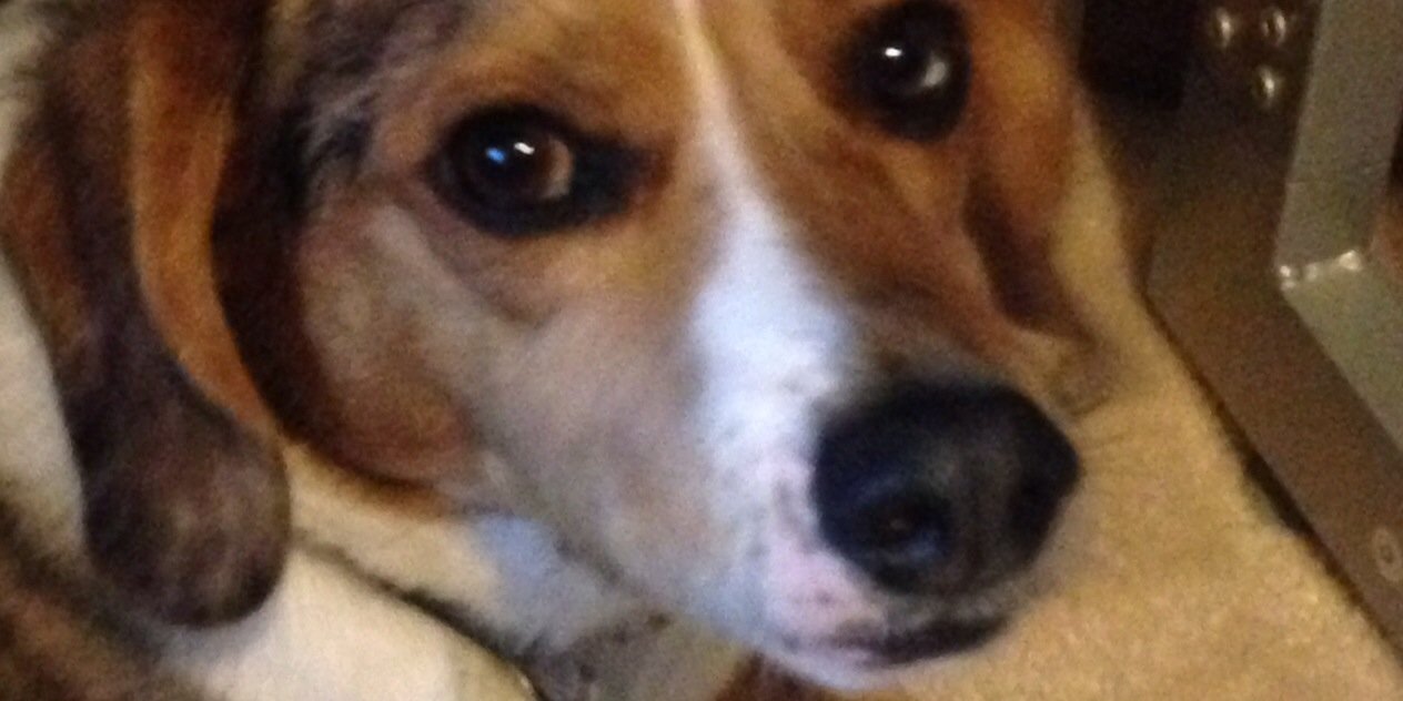 TheStreetClam's profile banner image