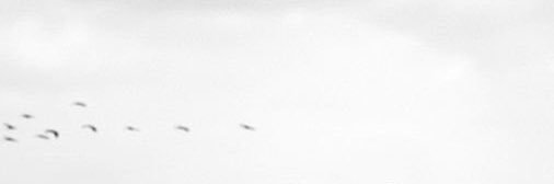 SAM1SA2's profile banner image