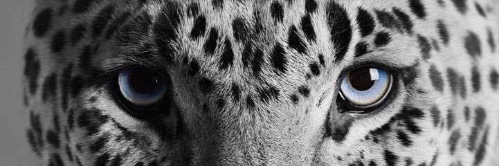 yaizaa_1's profile banner image