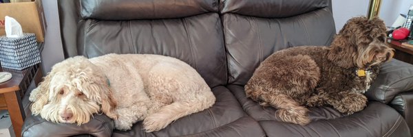 GetSumDimSum_ Profile Banner