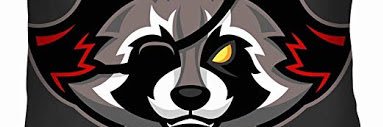 Raccoon banner