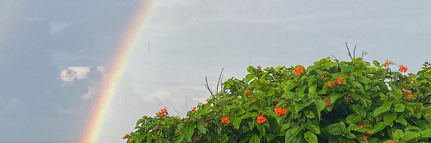 aaldvi's profile banner image