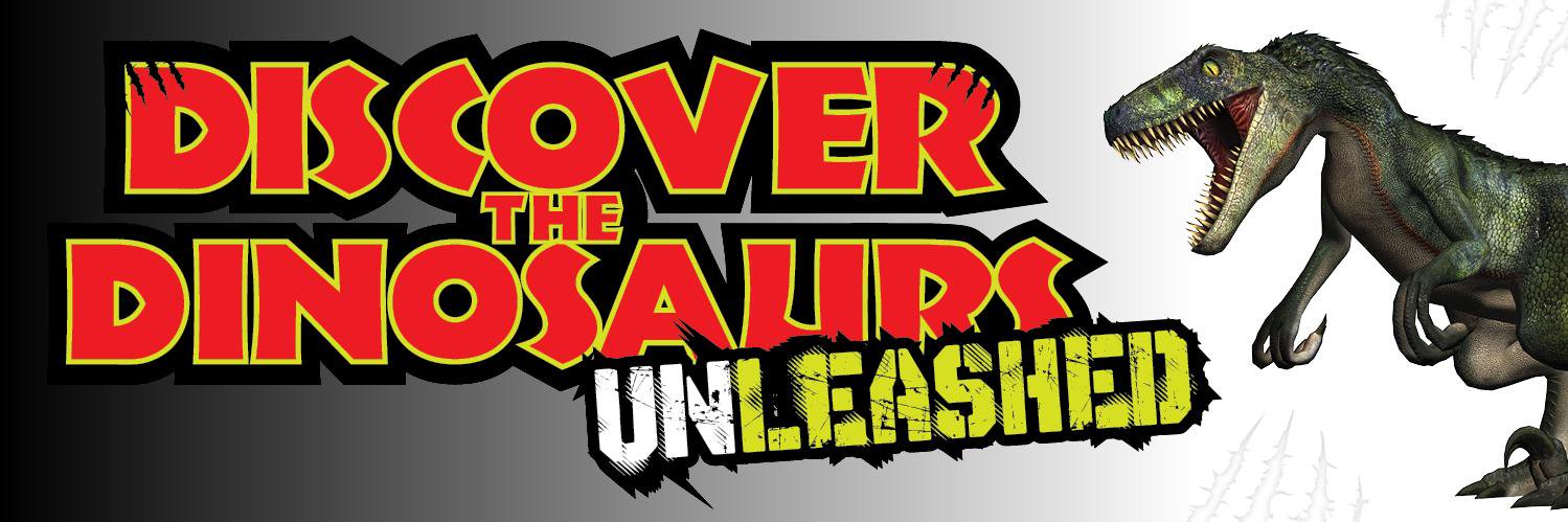 DTDUnleashed's profile banner image