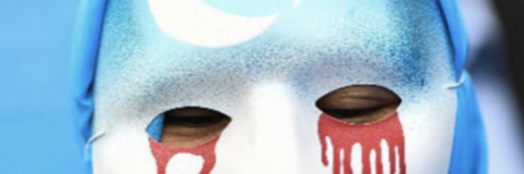 Thomaslefvr's profile banner image