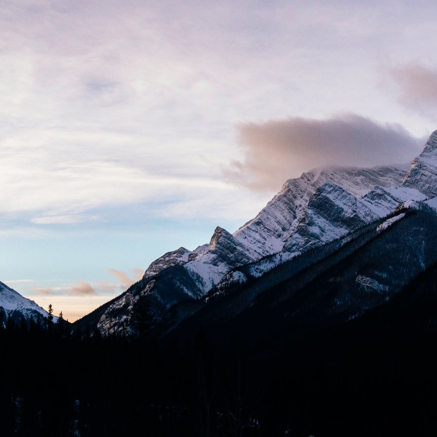 _Nic_Cheung_'s profile banner image