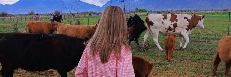 EvaMarie73's profile banner image