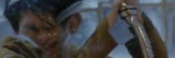 I'm a vampire (micah) banner