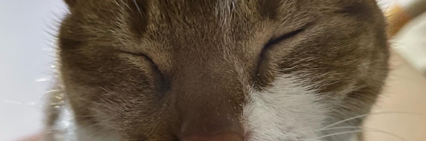 aferp_'s profile banner image