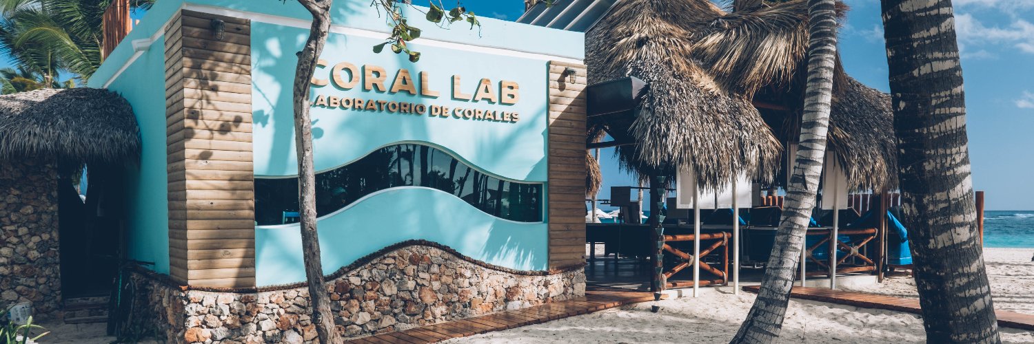 Megan Morikawa banner