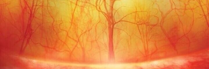 _Appary_'s profile banner image
