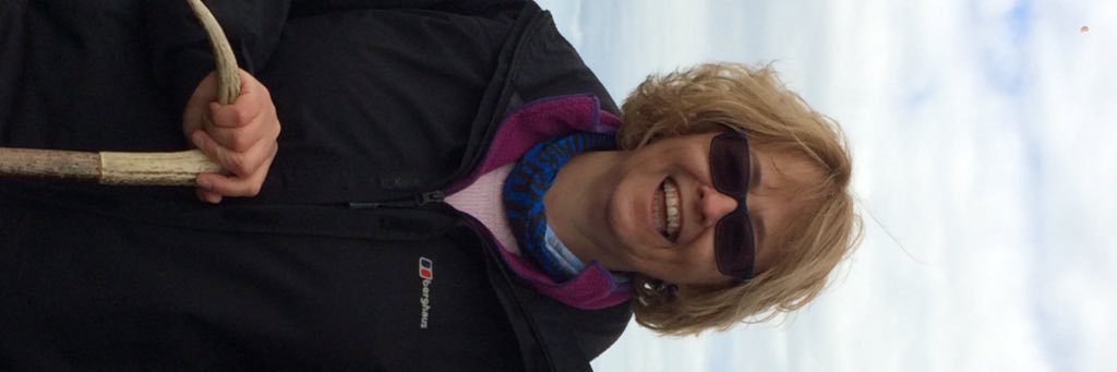 hils_marsh's profile banner image