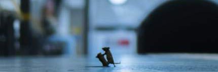 Justice Quantum banner