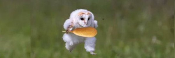 NAO_angler Profile Banner