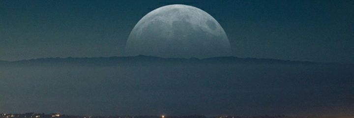 alsel___'s profile banner image