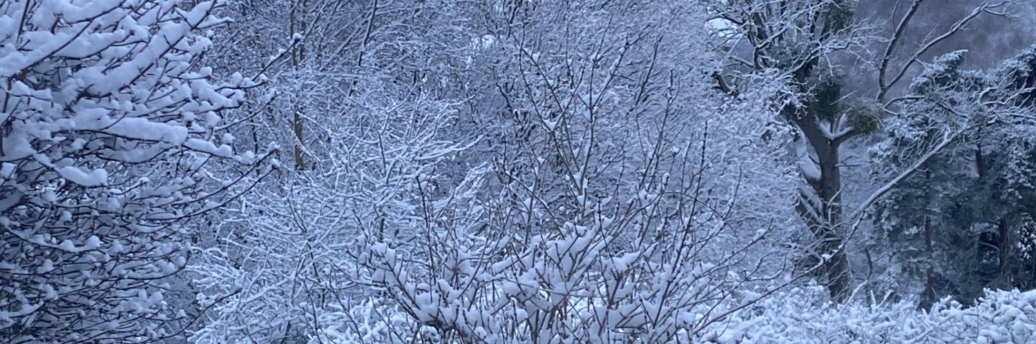 wisem9's profile banner image