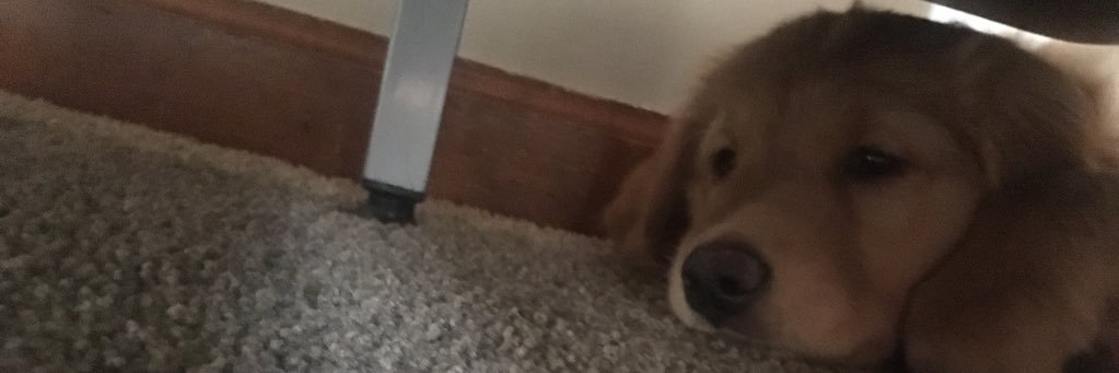 cfred33's profile banner image