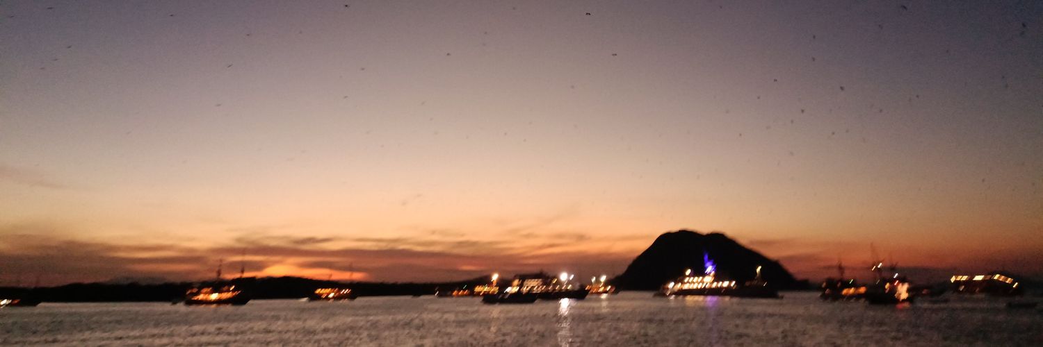satriana's profile banner image