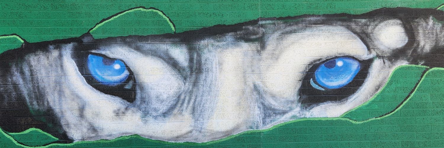 Coach Anderson banner