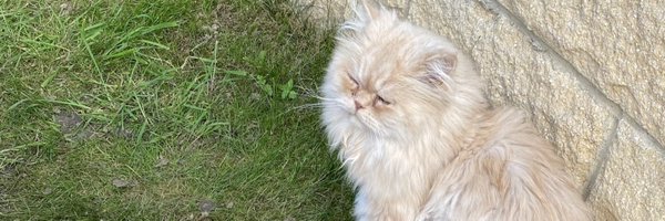 Mummillionx Profile Banner
