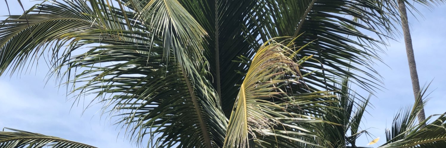dvs3535's profile banner image