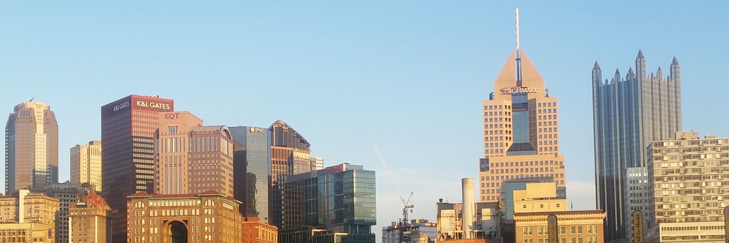 FelixTheBear's profile banner image