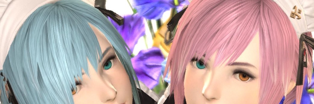 nobinokiku's profile banner image