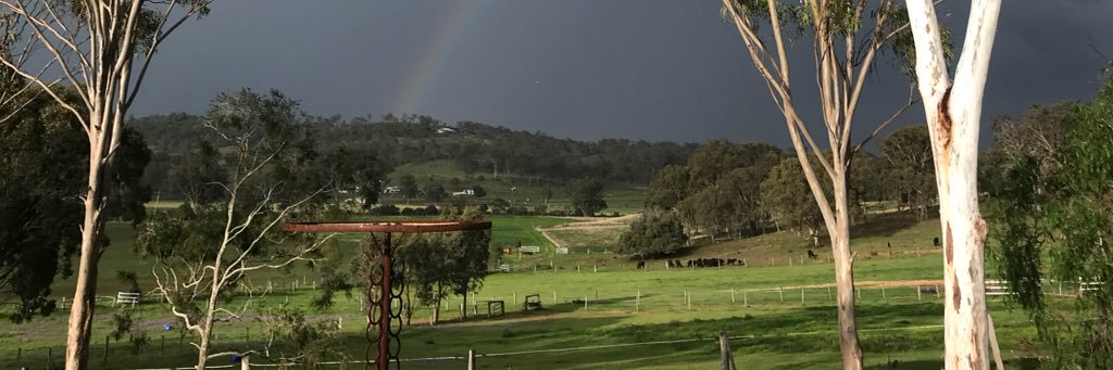 Mistteak's profile banner image