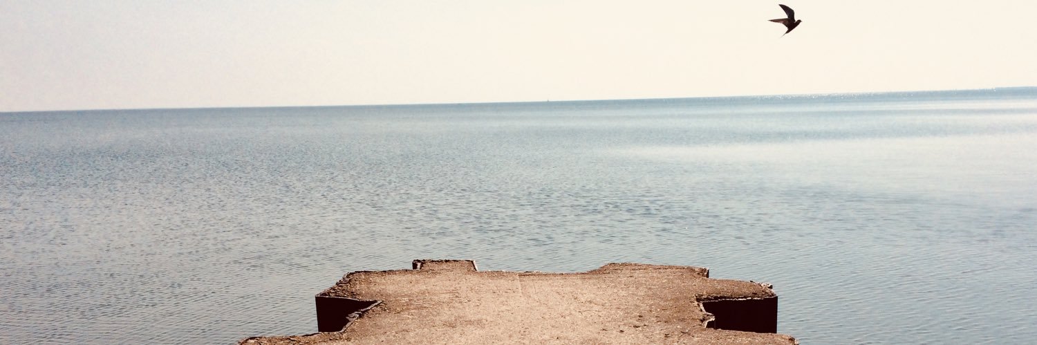 Amorphously's profile banner image