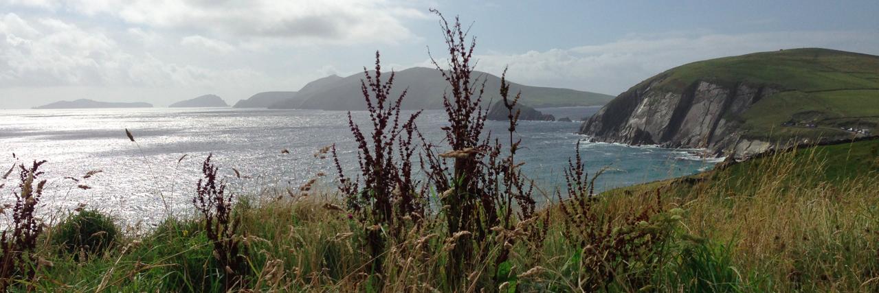 Cillian Nolan banner