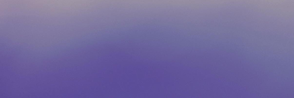 Georgia Fields banner