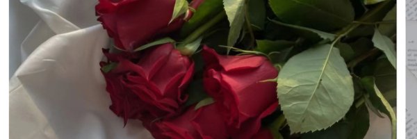 SisTulz Profile Banner