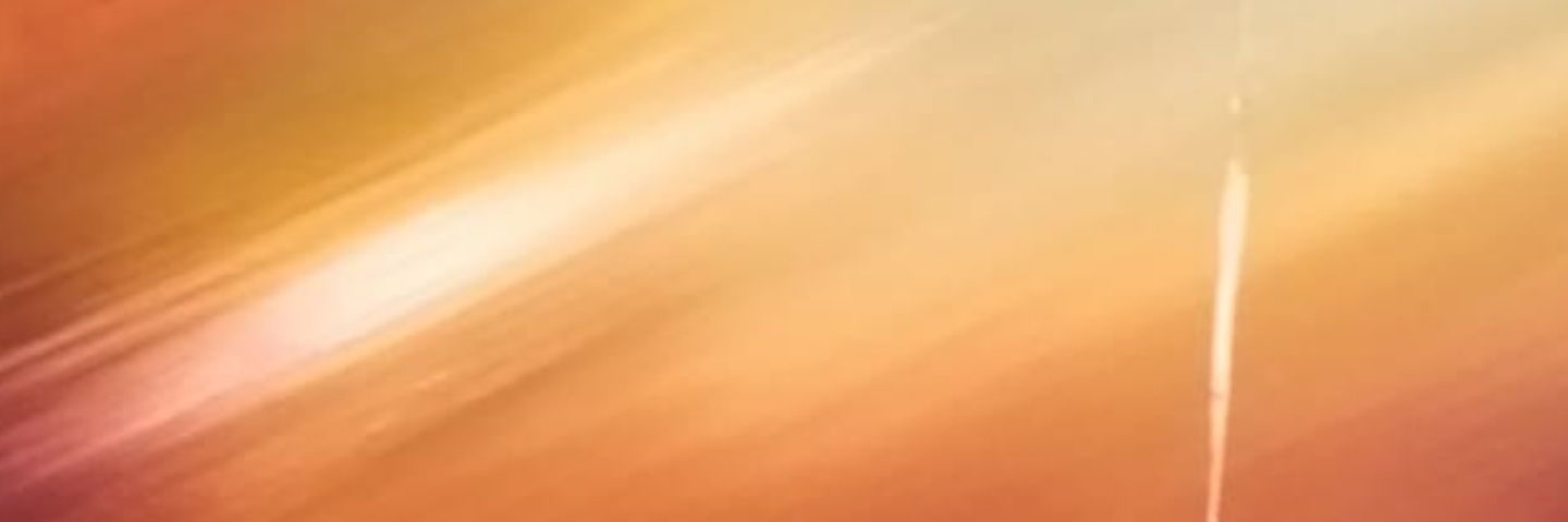 gnatz2meetu's profile banner image