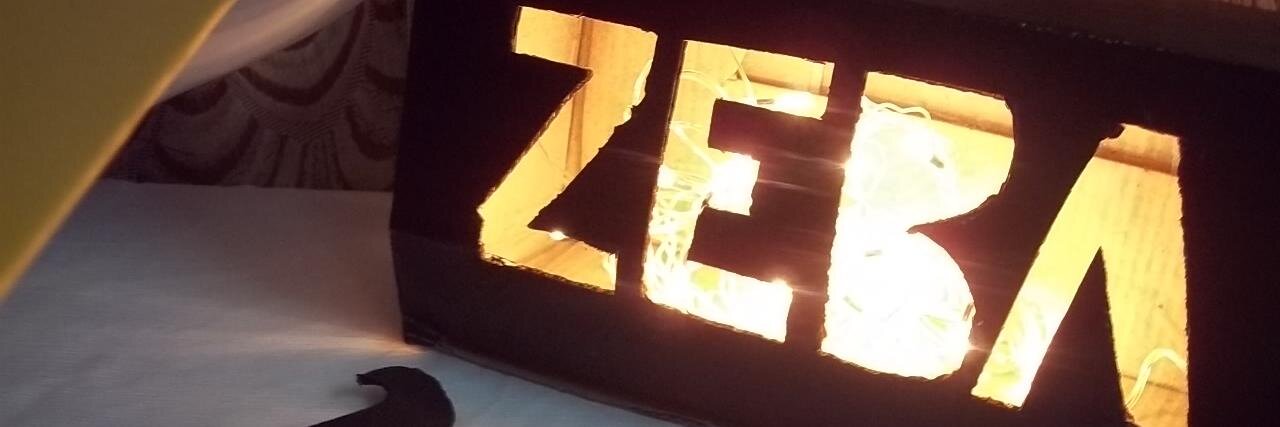zeba_enigma's profile banner image