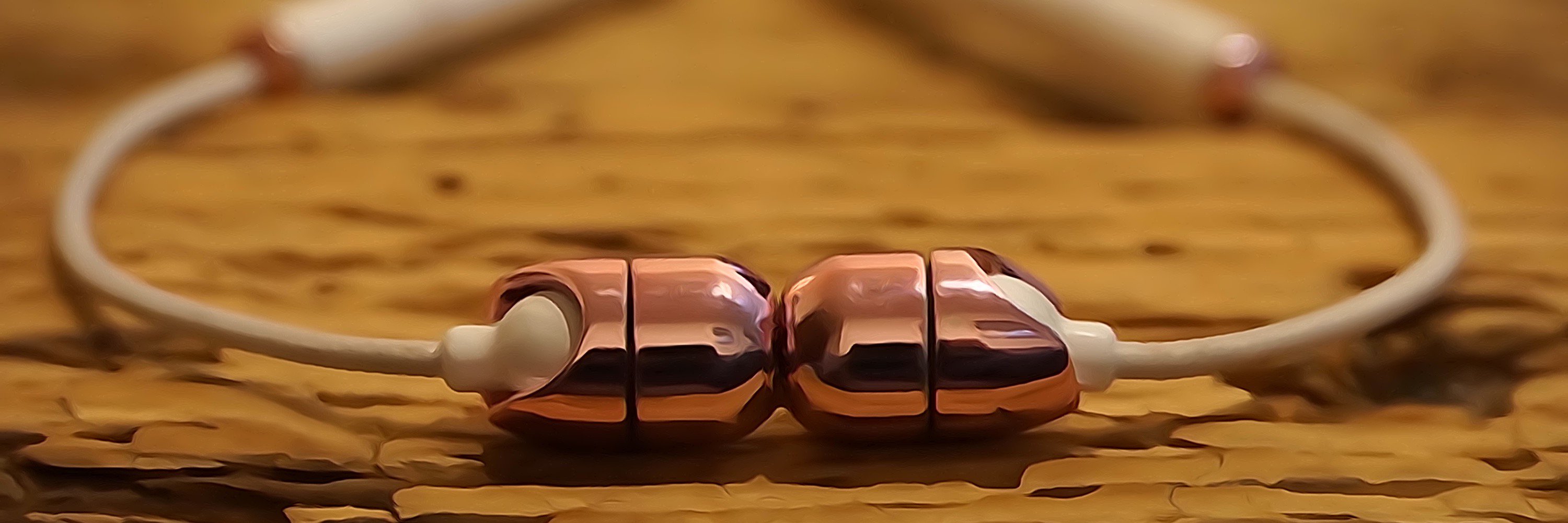 hellorozebuds's profile banner image