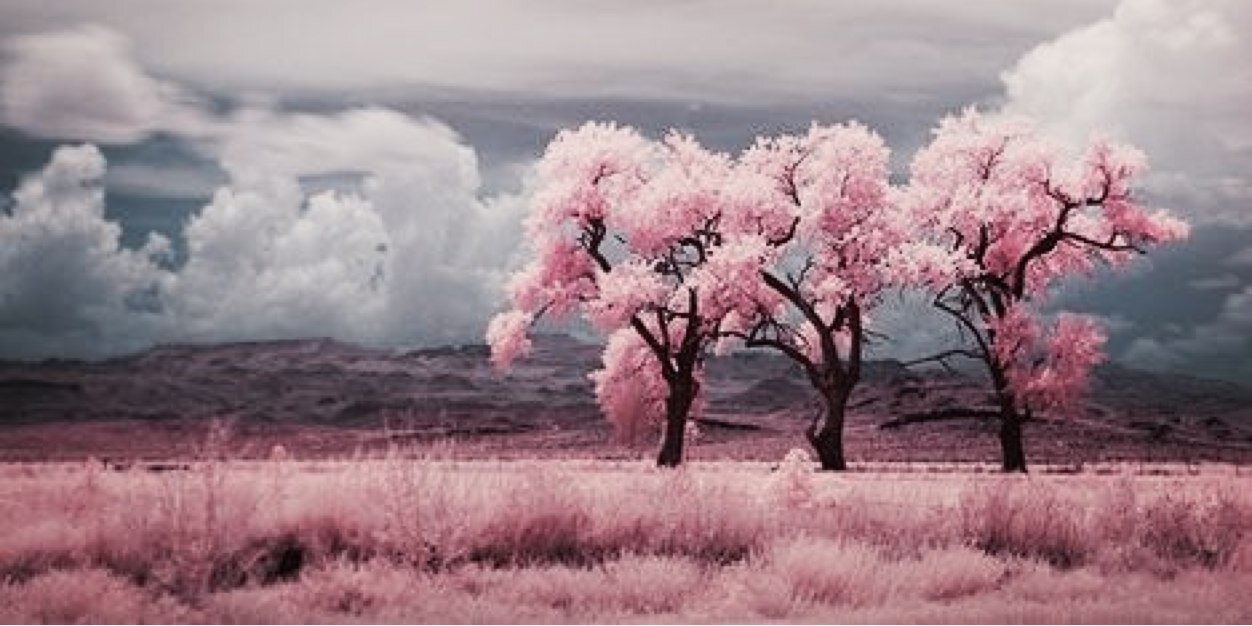 L_XHui's profile banner image