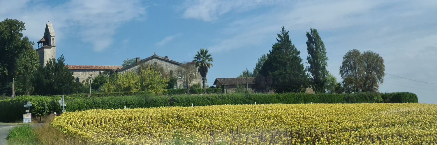 Adrien Montiel banner