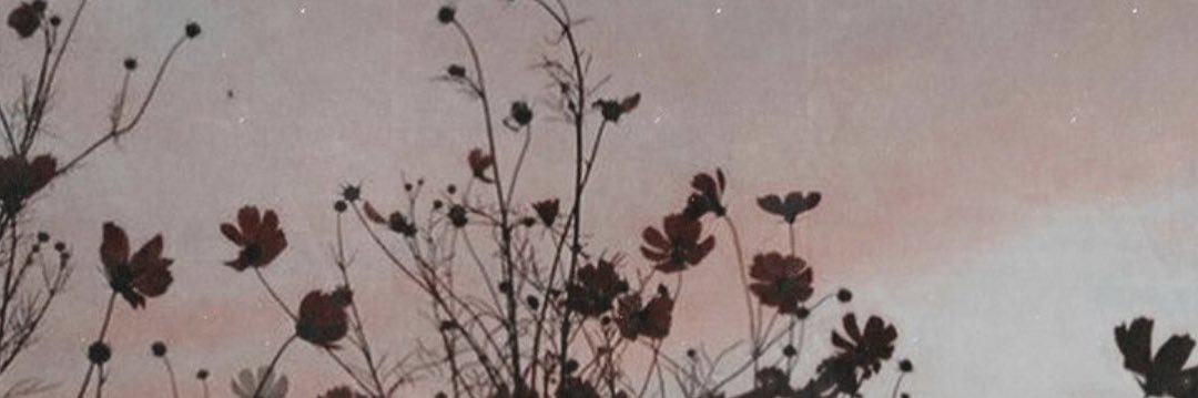 teamofswift's profile banner image