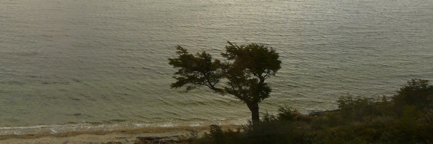 calmudever's profile banner image