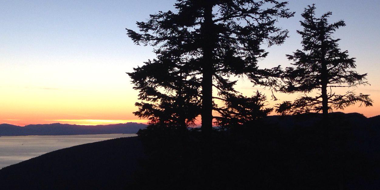 MS83_BigBear's profile banner image