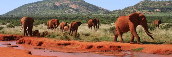 IdeeGreen Profile Banner