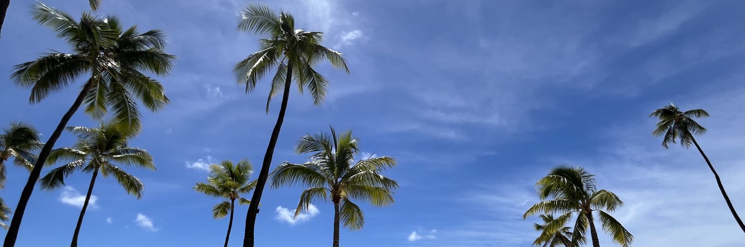 〰←波です🐬🐧🐉🐢🦁🧢∞🐩 banner