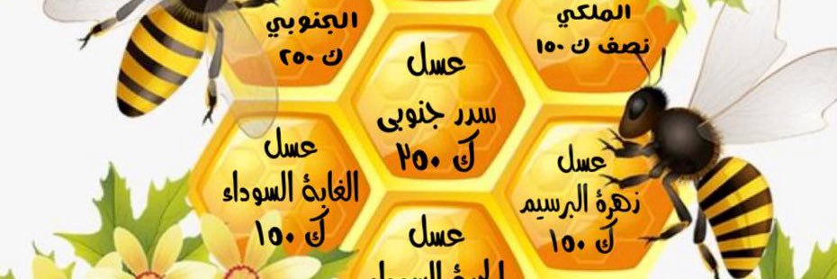 h_wali's profile banner image