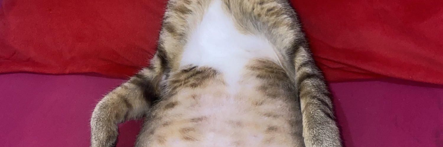 prilyaprl's profile banner image
