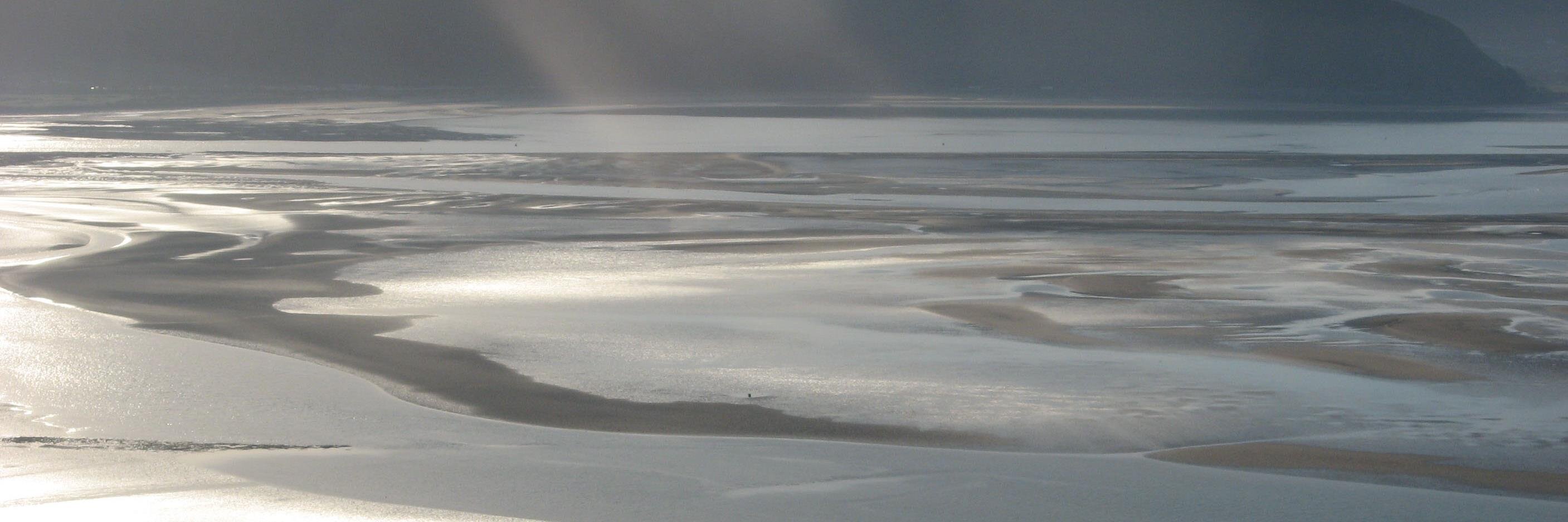 nercbess's profile banner image