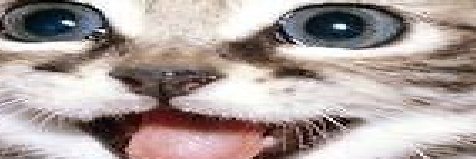 ComplainingBout's profile banner image